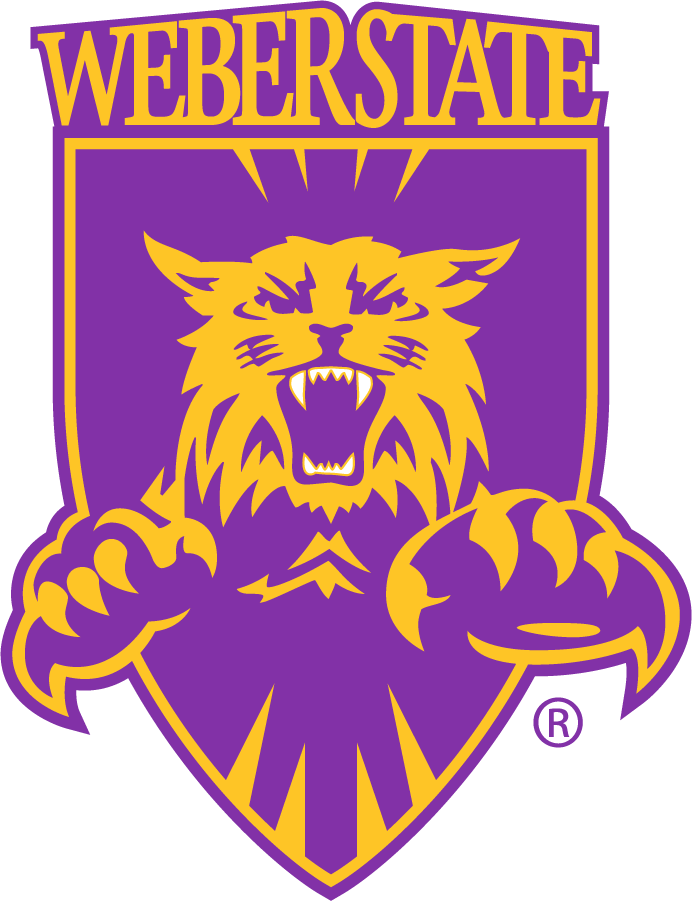 Weber State Wildcats 1996-2012 Primary Logo DIY iron on transfer (heat transfer)